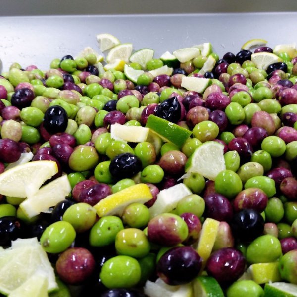 画像4: 12月発送予定【小豆島産100%オリーブオイル使用】レモン&ライムのオリーブオイル 27g (4)