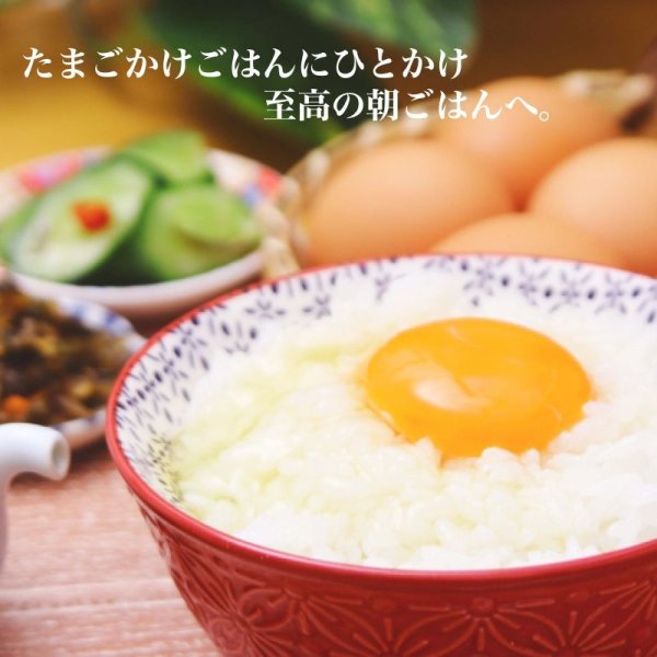 画像3: 12月発送予定＊2025年最優秀賞！香川県知事賞受賞【Sinfonia-シンフォニア-】小豆島産エキストラバージンオリーブオイル88g (3)